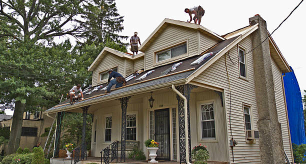 Best Roof Gutter Cleaning  in Menlo Park Terrace, NJ